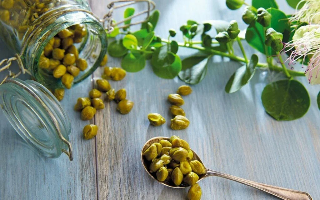 Kapari karpuzu salamurası ürün görseli