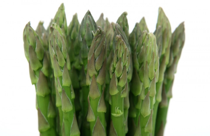 fresh asparagus spears bundle